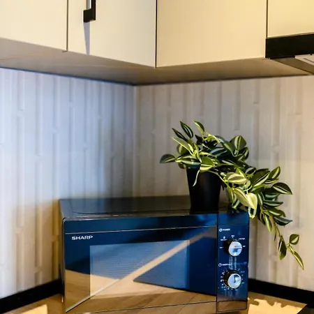 Yamaluxe Cozy 222